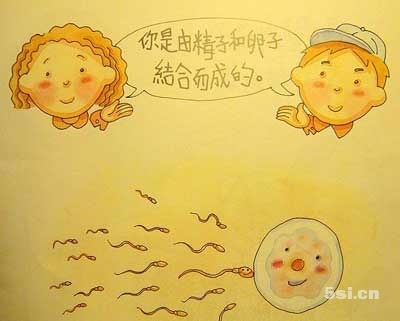 孩子问“我是从哪里来的”，你是怎样回答的呢？